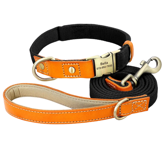 Monogrammed Nylon & Leather Dog Collar