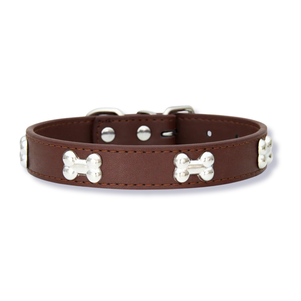 Bone-Adorned Leather Dog Collar