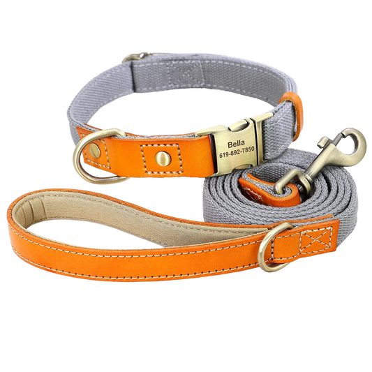 Monogrammed Nylon & Leather Dog Collar