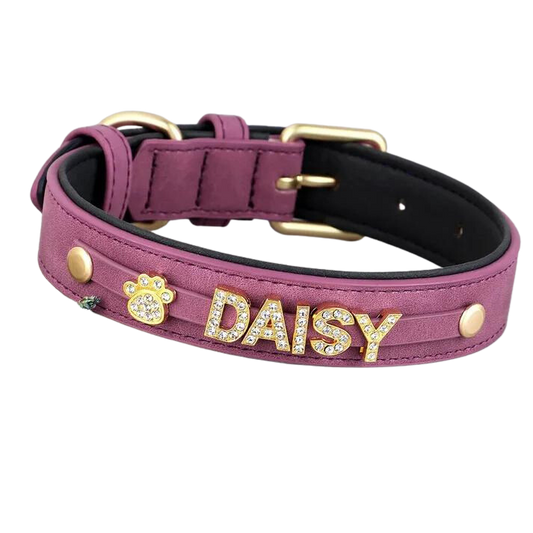 Monogrammed Customized Dog Collar with Rhinestone Accents